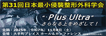 第31回日本最小侵襲整形外科学会