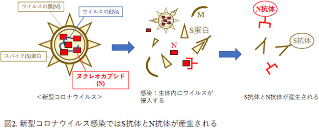 図2