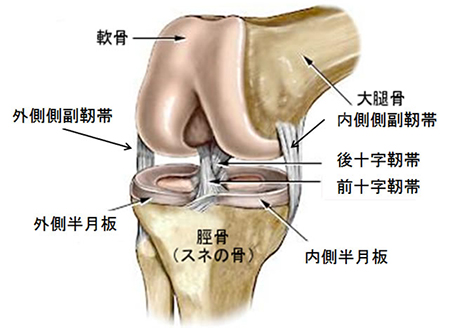 腰部椎間板ヘルニア